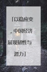 以稳应变，中国经济展现韧性与潜力