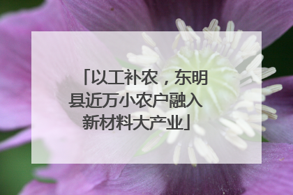 以工补农，东明县近万小农户融入新材料大产业