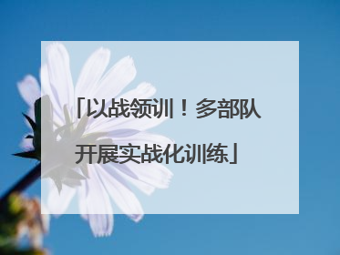 以战领训！多部队开展实战化训练