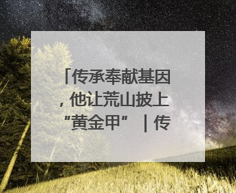 传承奉献基因，他让荒山披上“黄金甲”｜传家风薪火 颂家国情深