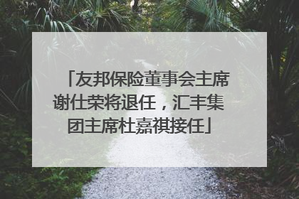 友邦保险董事会主席谢仕荣将退任，汇丰集团主席杜嘉祺接任