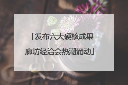 发布六大硬核成果 廊坊经洽会热潮涌动