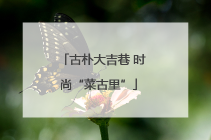 古朴大吉巷 时尚“菜古里”