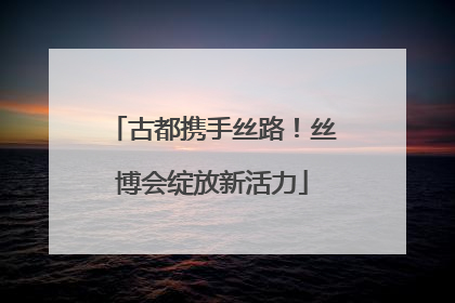 古都携手丝路！丝博会绽放新活力