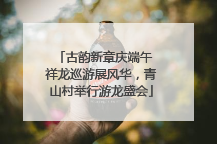 古韵新章庆端午 祥龙巡游展风华，青山村举行游龙盛会