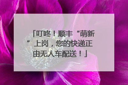 叮咚！顺丰“萌新”上岗，您的快递正由无人车配送！