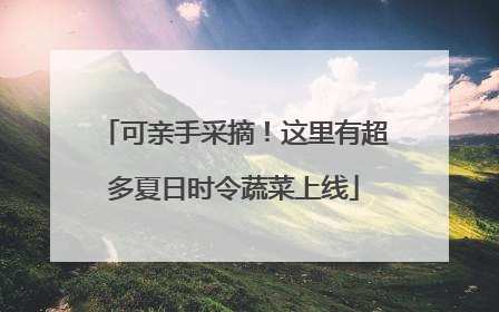 可亲手采摘！这里有超多夏日时令蔬菜上线