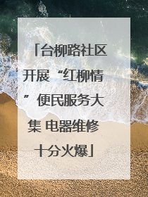 台柳路社区开展“红柳情”便民服务大集 电器维修十分火爆