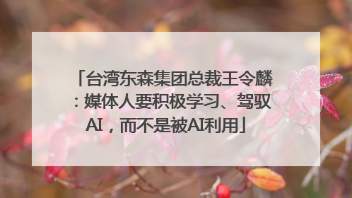 台湾东森集团总裁王令麟：媒体人要积极学习、驾驭AI，而不是被AI利用
