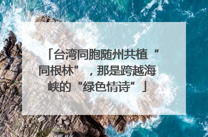 台湾同胞随州共植“同根林”，那是跨越海峡的“绿色情诗”