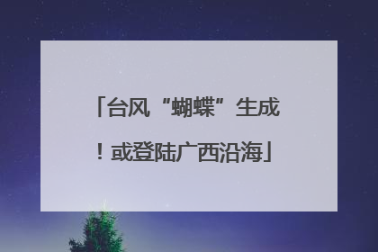 台风“蝴蝶”生成！或登陆广西沿海