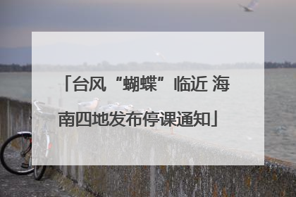 台风“蝴蝶”临近 海南四地发布停课通知