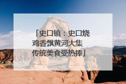 史口镇：史口烧鸡香飘黄河大集 传统美食受热捧