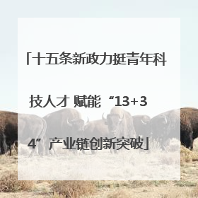 十五条新政力挺青年科技人才 赋能“13+34”产业链创新突破