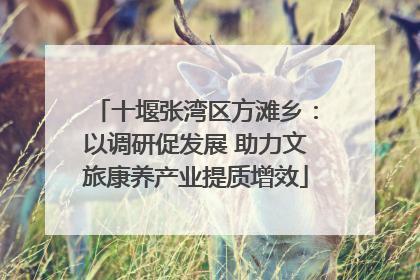 十堰张湾区方滩乡：以调研促发展 助力文旅康养产业提质增效