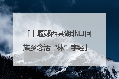 十堰郧西县湖北口回族乡念活“林”字经