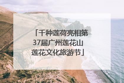 千种莲荷亮相第37届广州莲花山莲花文化旅游节