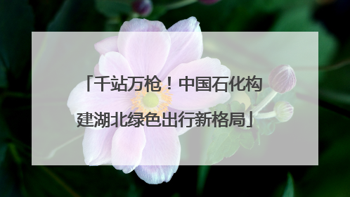 千站万枪！中国石化构建湖北绿色出行新格局
