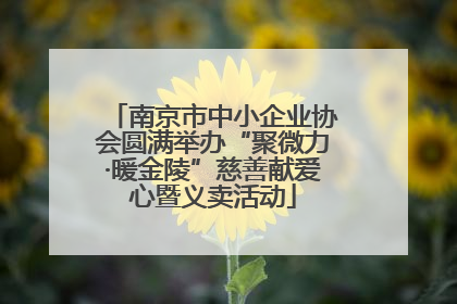 南京市中小企业协会圆满举办“聚微力·暖金陵”慈善献爱心暨义卖活动
