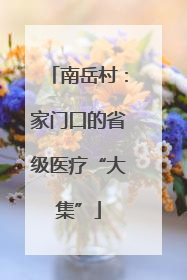 南岳村：家门口的省级医疗“大集”