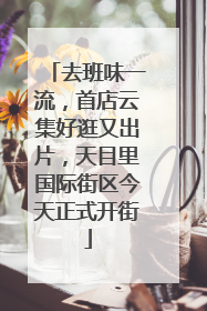 去班味一流，首店云集好逛又出片，天目里国际街区今天正式开街