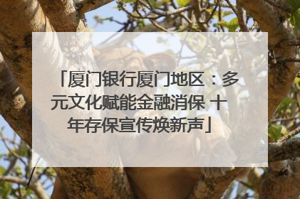 厦门银行厦门地区：多元文化赋能金融消保 十年存保宣传焕新声