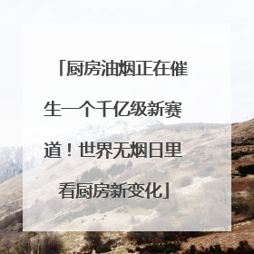 厨房油烟正在催生一个千亿级新赛道！世界无烟日里看厨房新变化