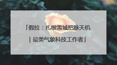 假拉：扎根雪域把脉天机｜最美气象科技工作者