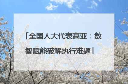 全国人大代表高亚：数智赋能破解执行难题