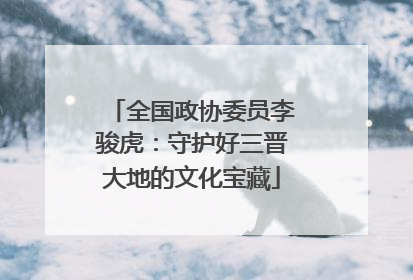 全国政协委员李骏虎：守护好三晋大地的文化宝藏