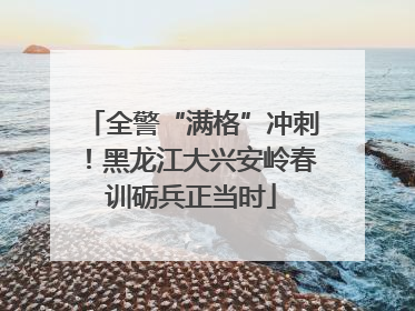 全警“满格”冲刺！黑龙江大兴安岭春训砺兵正当时
