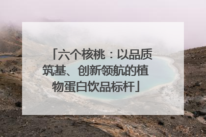 六个核桃：以品质筑基、创新领航的植物蛋白饮品标杆
