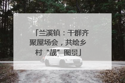 兰溪镇：干群齐聚屋场会，共绘乡村“靓”图景