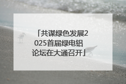 共谋绿色发展2025首届绿电铝论坛在大通召开