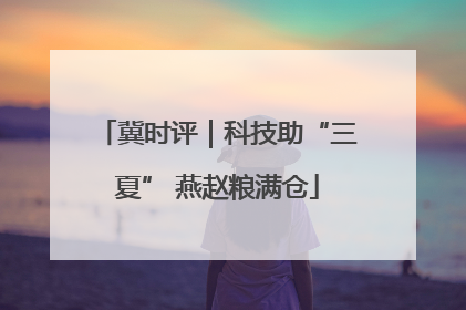 冀时评｜科技助“三夏” 燕赵粮满仓