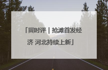 冀时评｜抢滩首发经济 河北持续上新
