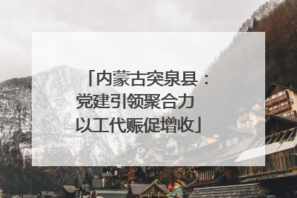 内蒙古突泉县：党建引领聚合力 以工代赈促增收
