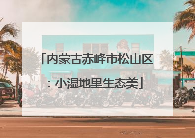 内蒙古赤峰市松山区：小湿地里生态美
