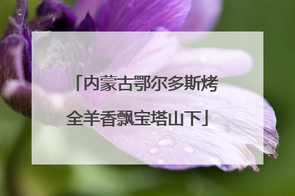 内蒙古鄂尔多斯烤全羊香飘宝塔山下