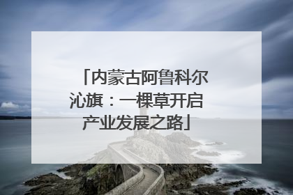 内蒙古阿鲁科尔沁旗：一棵草开启产业发展之路