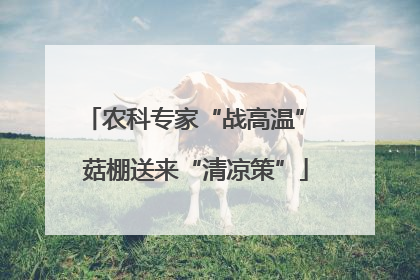 农科专家“战高温” 菇棚送来“清凉策”