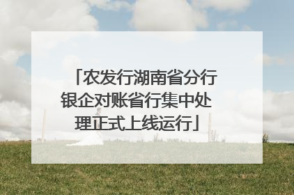 农发行湖南省分行银企对账省行集中处理正式上线运行