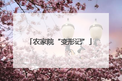 农家院“变形记”