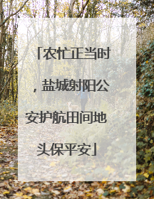 农忙正当时，盐城射阳公安护航田间地头保平安