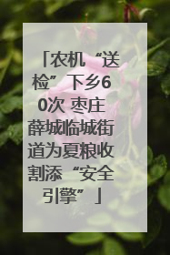 农机“送检”下乡60次 枣庄薛城临城街道为夏粮收割添“安全引擎”
