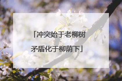 冲突始于老柳树 矛盾化于柳荫下