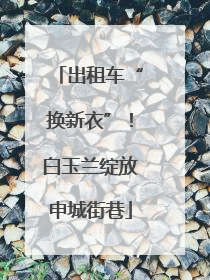 出租车“换新衣”！白玉兰绽放申城街巷