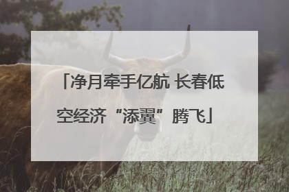 净月牵手亿航 长春低空经济“添翼”腾飞