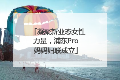 凝聚新业态女性力量，浦东Pro妈妈妇联成立