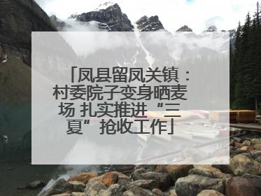凤县留凤关镇：村委院子变身晒麦场 扎实推进“三夏”抢收工作